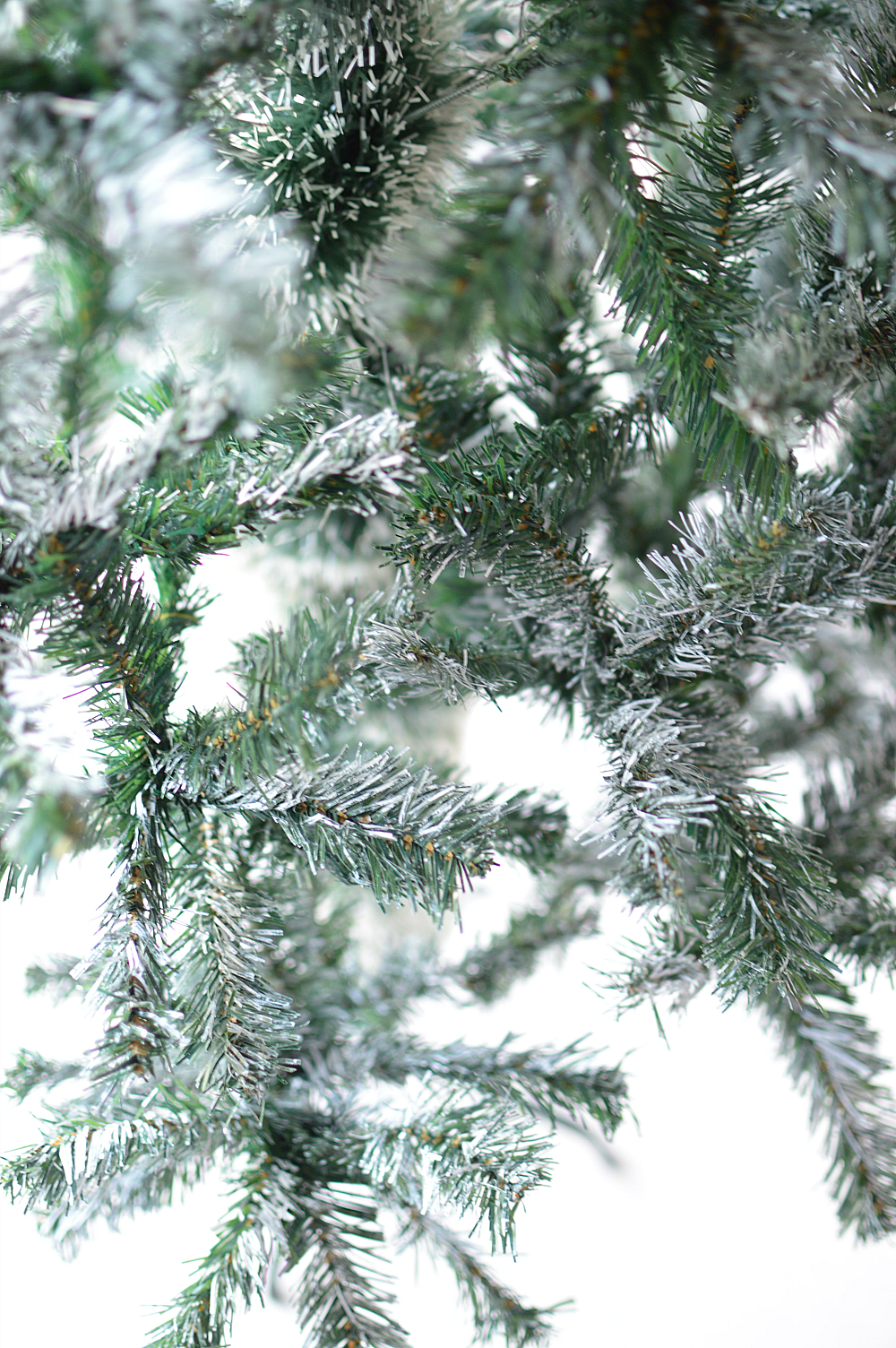 closeup-snow-flocked-tree