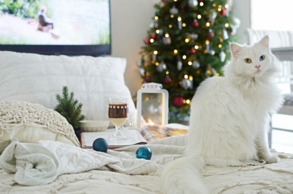 Christmas movies you should watch this season