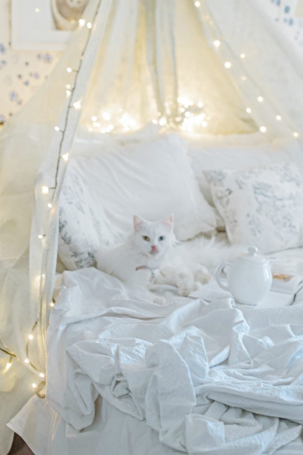 Fairy lights look and make for the perfect cheerful decor addition